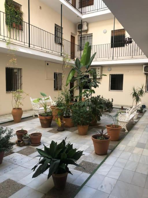 Sevilla San Bernardo Apartamento Esterno foto